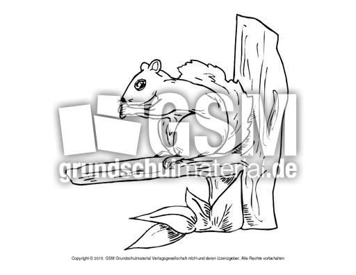 Ausmalbild-Eichhörnchen-B 6.pdf